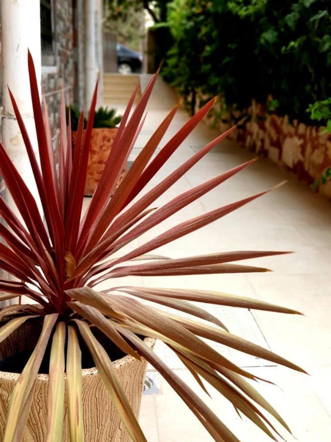 Tell Madaba Hotel Ngoại thất bức ảnh